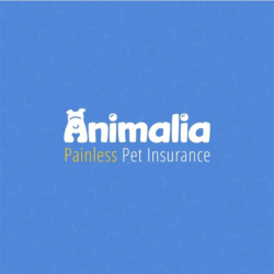 Animalia Pet Insurance Review