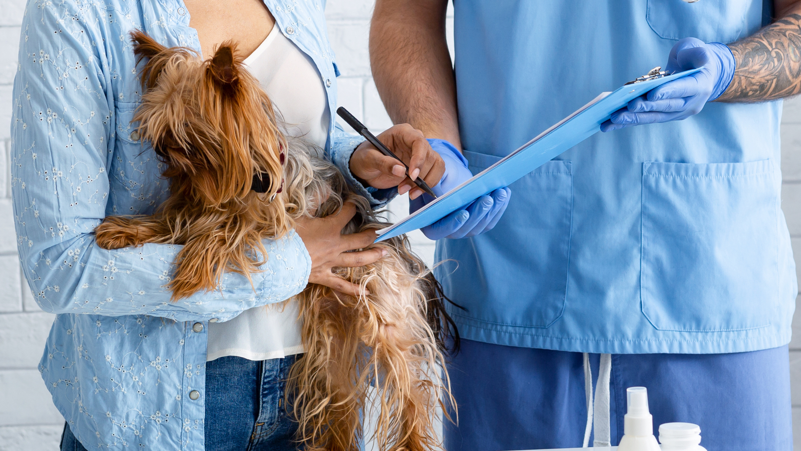 Understanding Pet Insurance: How It Works and Why It Matters