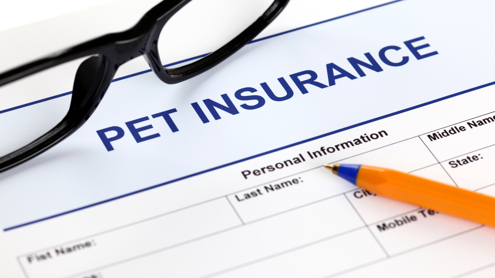 Compare Pet Insurance