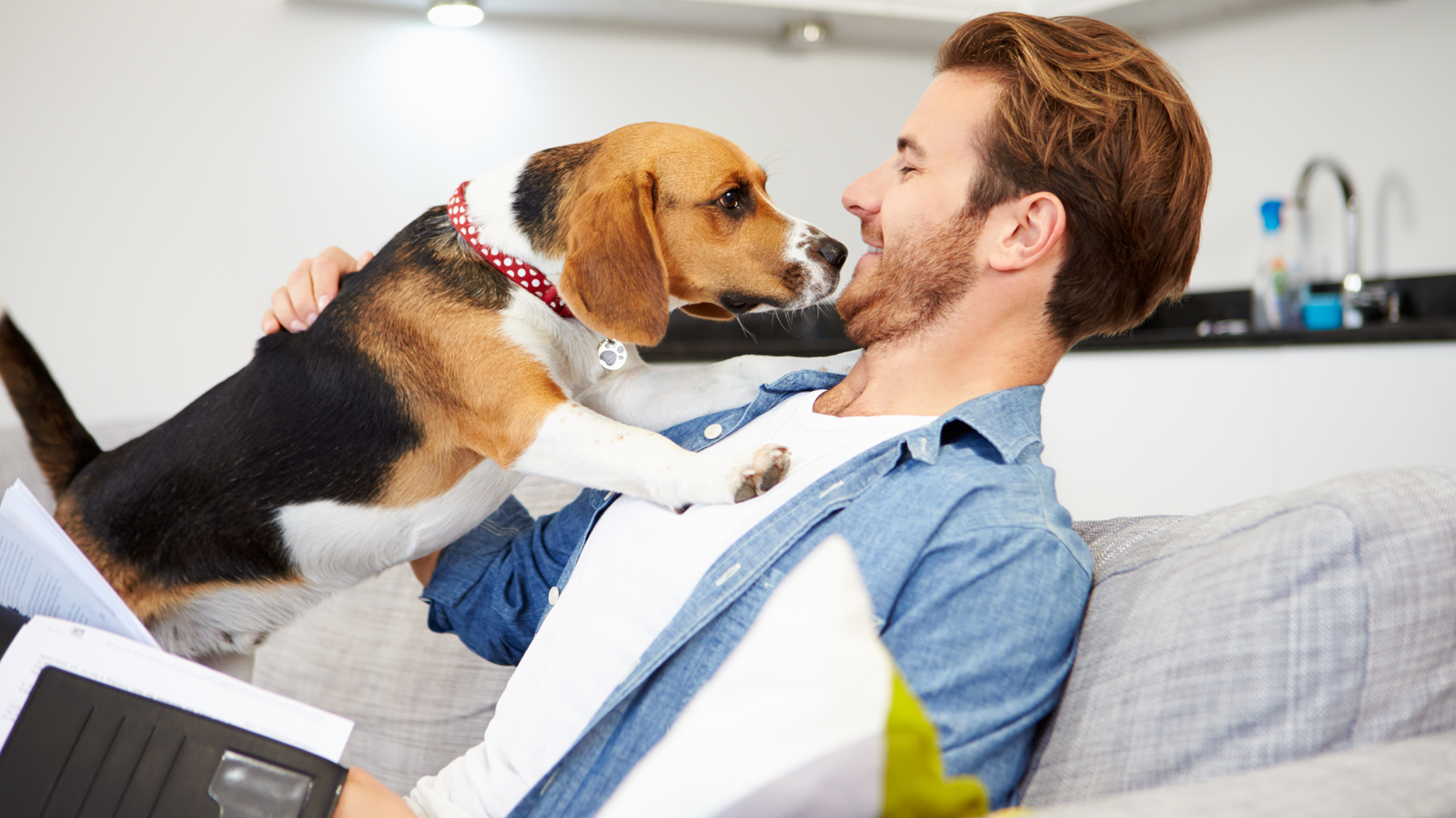 Is Pet Insurance Worth It? A Guide to Determining Its Value