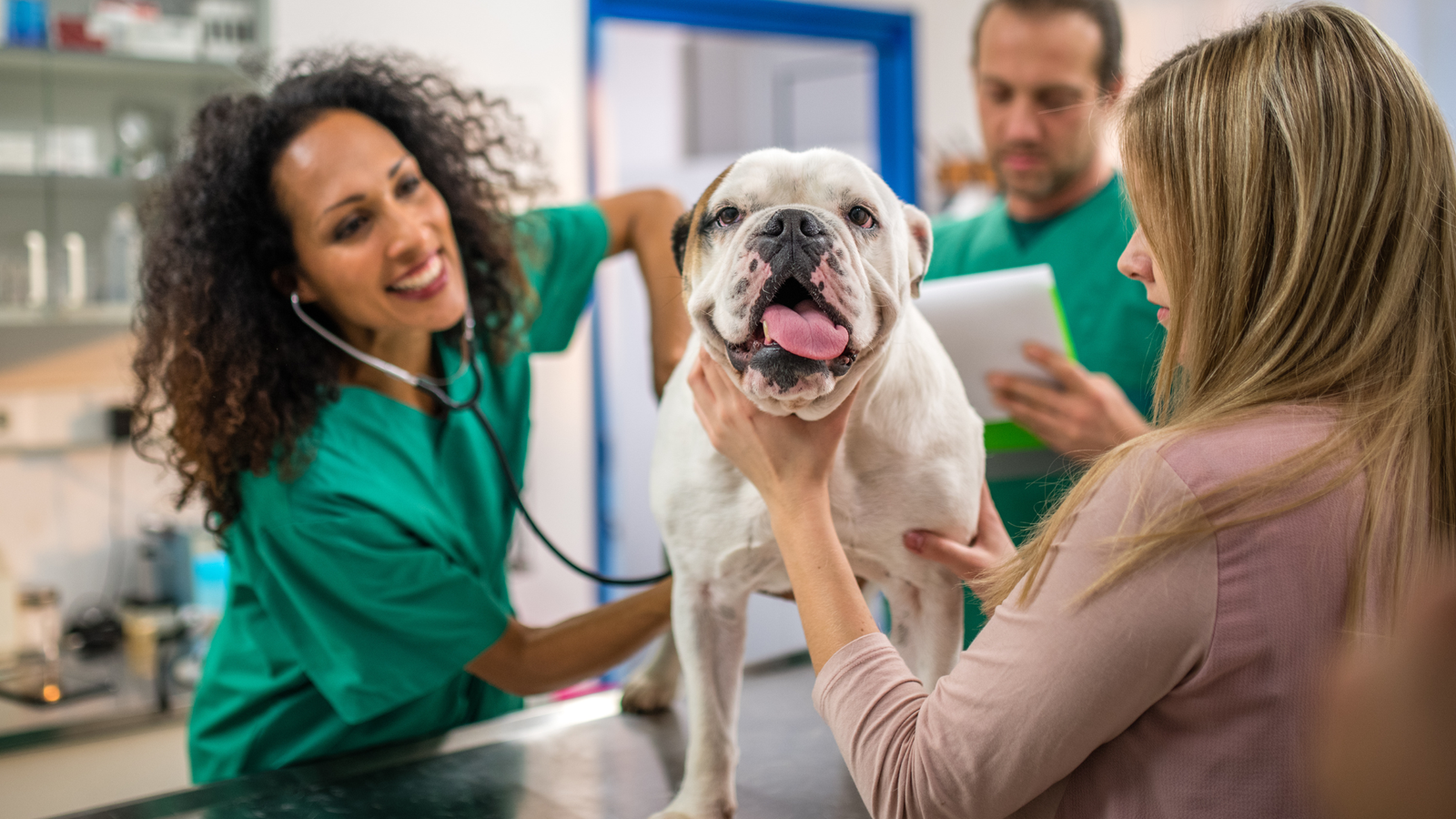 13 Reasons Why Your Pet Needs to See a Veterinarian